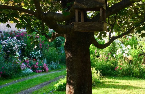 Moimacco House | Elegant rustic flower house with large garden