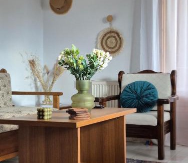 Krikellos Apartment | Eleocharis near Amfilochia & Amvrakikos Gulf