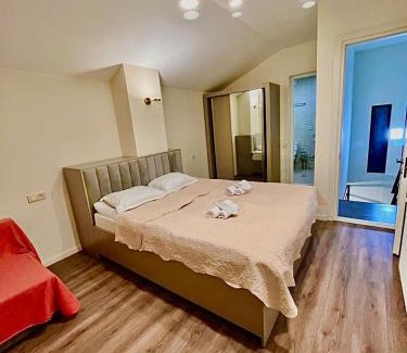 Bakuriani Ski Chalet | Elit chalet bakuriani number4