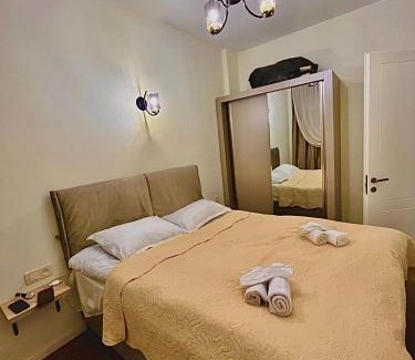 Bakuriani Ski Chalet | Elit chalet bakuriani number4