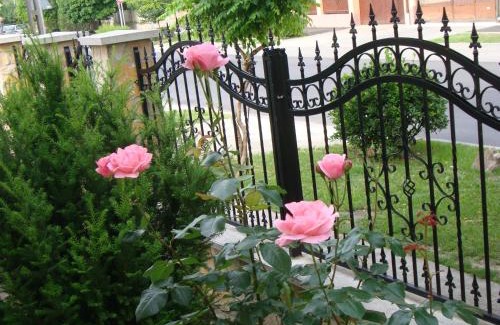 Hajduszoboszlo Apartment | Eliza Vendégház