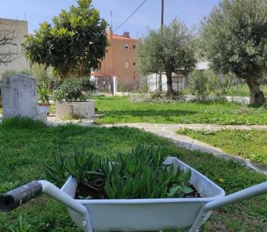 Paralia Ofryniou House | Elizabeth's apartment2