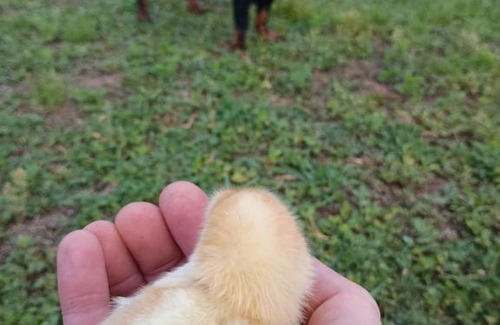 Calamuchita Valley House | Elparadorlasbajadas