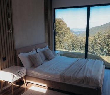 Gilau House | Elysium Cabin