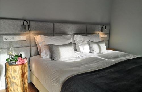 Gois House | Em Xisto - Casas de Montanha - Casa T0