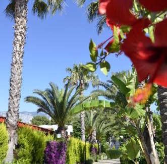 Camyuva Resort | Emelda Sun Club