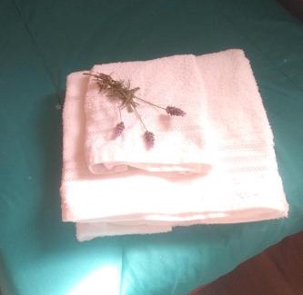 Concordia House | En Concordia, casa estilo industrial con amplio patio a 10 minutos de la plaza principal