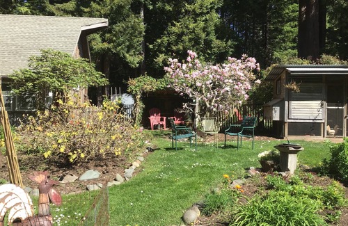 Mendocino Cottage | Enchanted Cottage in the Redwoods