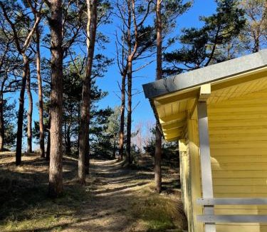 Sventoji Cabin | Energetikas nameliai prie jūros