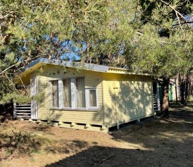 Sventoji Cabin | Energetikas nameliai prie jūros