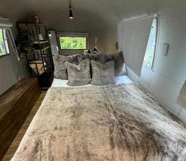 Narusawa Other | enico Mt Fuji The Airstream