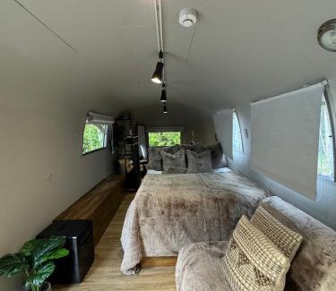 Narusawa Other | enico Mt Fuji The Airstream