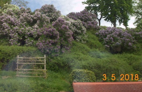 Havelberg House | Enjoy a break in the immediate vicinity of the Havel water