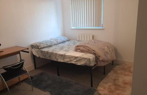 Isle of Dogs House | Ensuite Riverside Room in Canary Wharf shared Apartment