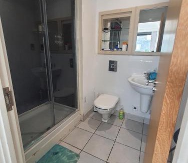 Isle of Dogs House | Ensuite Riverside Room in Canary Wharf shared Apartment