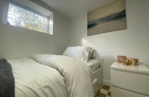 Regent Park Apartment | Entire Place in Downtown 2 Bedroom Basement Suite