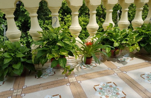 Doi Can House | Entire TU House Homestay with 7 Bedrooms fits up to 20 guests