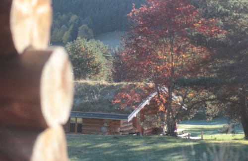 Fay-sur-Lignon Cottage | "Epicéa": unusual log cabin in the heart of Auvergne nature