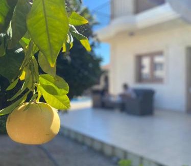 Episkopi Villa | EPISKOPI VILLA, Luxury 4 Bedroom with Pool - Limassol