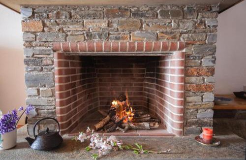 Makrynitsa Villa | Eremia Rustic House - Entire Villa in Pelion