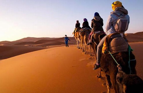 M'Hamid El Ghizlane Other | Erg Chigaga Wil Camp