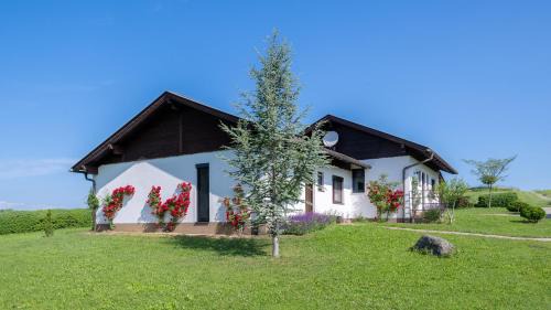 Sankt Kanzian am Klopeiner See Apartment | Erlebnisbauernhof Tschom