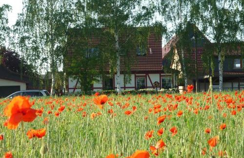 Utzberg House | Erpelhaus, ländliche Idylle mit Stadtnähe zu EF und WE