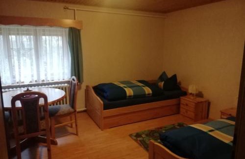 Frauenstein Apartment | Erzhof Nassau- Gästezimmer an der Loipe