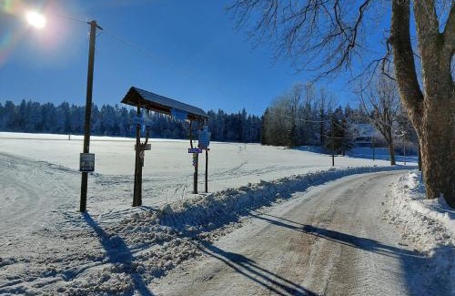 Frauenstein Apartment | Erzhof Nassau- Gästezimmer an der Loipe