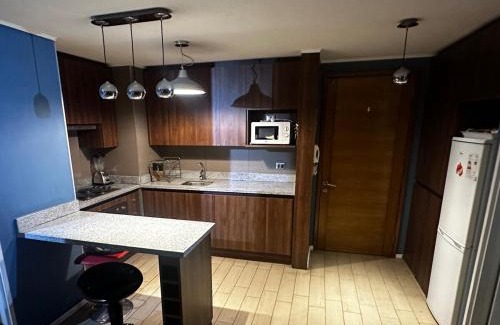 Calama Apartment | Espacio parque 1705