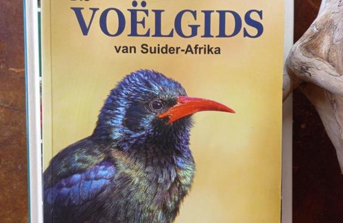 Elgin Apartment | Essenhout Self-catering Accommodation