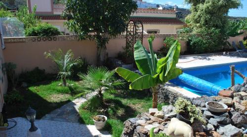 Icod de los Vinos Apartment | Estudio con hermosas vistas terraza, Piscina, BBQ