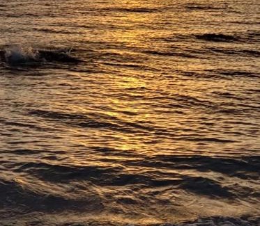 Itapissuma House | excelente casa moderna e completa para temporada