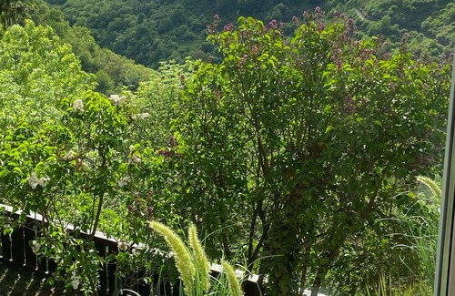 Biebernheim House | Exceptional vacation home in a fantastic location above Rheinfels Castle, Loreley