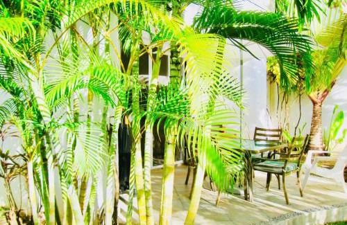 Playacar Bed & Breakfast | Executive Basic Room With Swimming Pool Air Conditioning and Parking