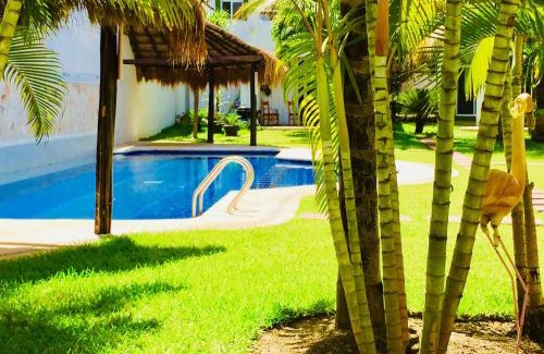 Playacar Bed & Breakfast | Executive Basic Room With Swimming Pool Air Conditioning and Parking