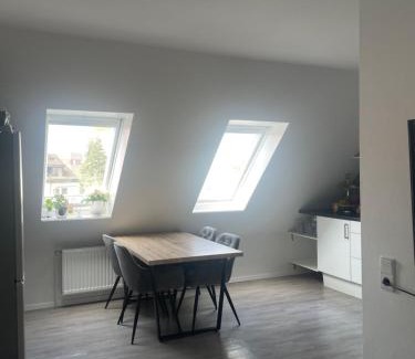 Hainholz Apartment | Executive Maisonette Penthouse Loft, Rooftop Pool, Central Hannover and Direct Messe Connection