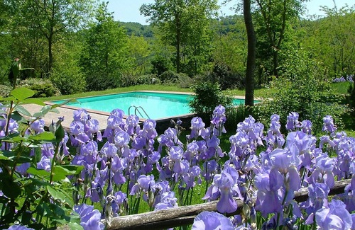 Proceno Apartment | Experience a breathtaking vacation in a castle, restaurant, stunning views