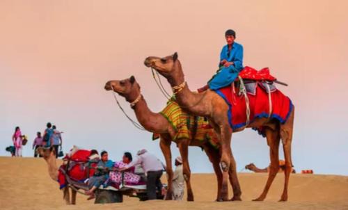 Kanoi Resort | Experience desert resort