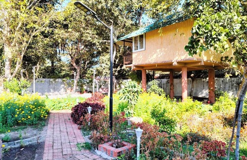 Bhopal Cottage | Experience Nature’s Charm: Unique Treehouse Stay by a Scenic Lake!