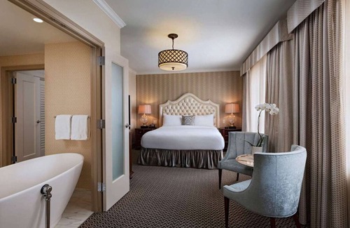 Downtown Austin Hotel | Experience Soothing Moments & Luxury! Indoor Swimming Pool, Pets are Welcome!