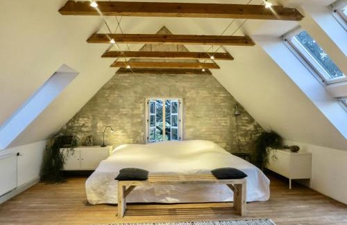 Samsø House | Experience The Sea And Starling Murmuration