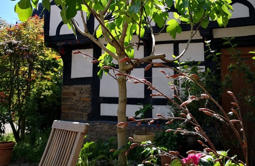 Alt-Wetter Apartment | Fünf Giebel Eck In der Freiheit am Ruhrtalradweg