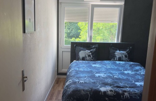 Mulhouse Apartment | Fabulous accommodation, with good times ahead.