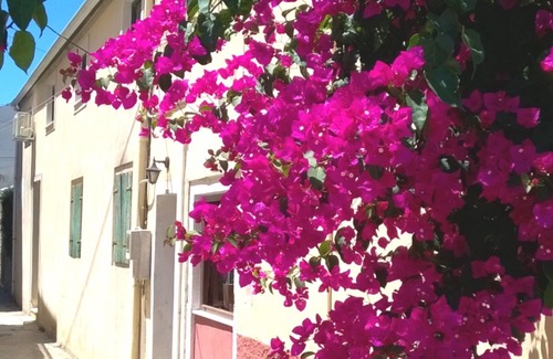 Melikia House | Fabulous traditional 3 bedroom house next to the river on Corfu island