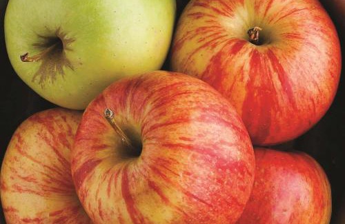 Cedar Rapids Hotel | Fairfield by Marriott Inn & Suites Cedar Rapids North