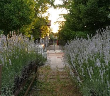 San Daniele del Friuli House | Falco Bianco