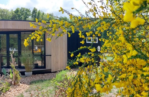 Hoogersmilde Cottage | Familiecamping de Reeënwissel - Luxe lodge 55