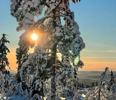 Trysil House | Family-Friendly Log Cabin With Panoramic View