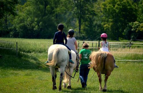 Frankenau-Unterpullendorf Apartment | Family Ranch Urlaub am Pferdehof